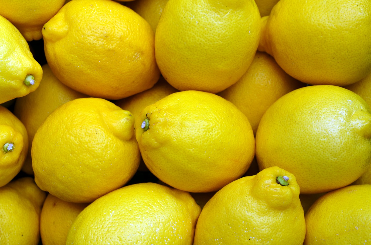 Organic Gardening Tips for Beginners